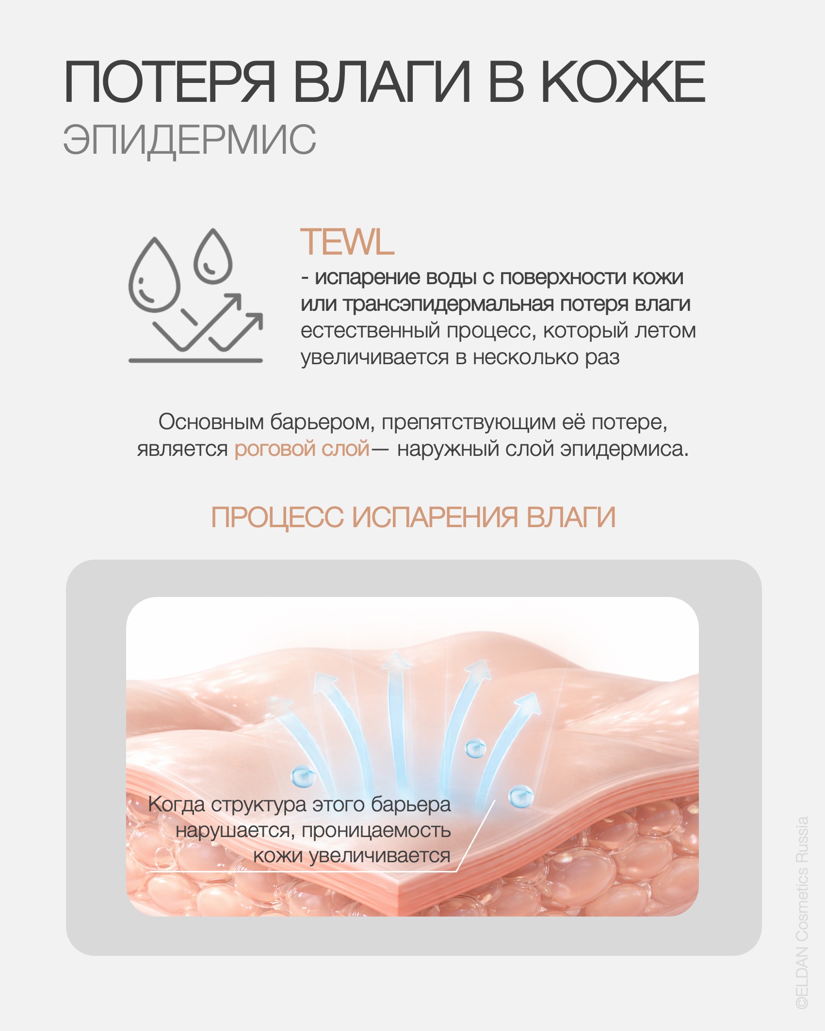 Пост нарушение TEWL летом 2.jpg